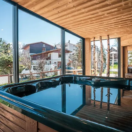 Chalet In Near Lift Les Deux Alpes