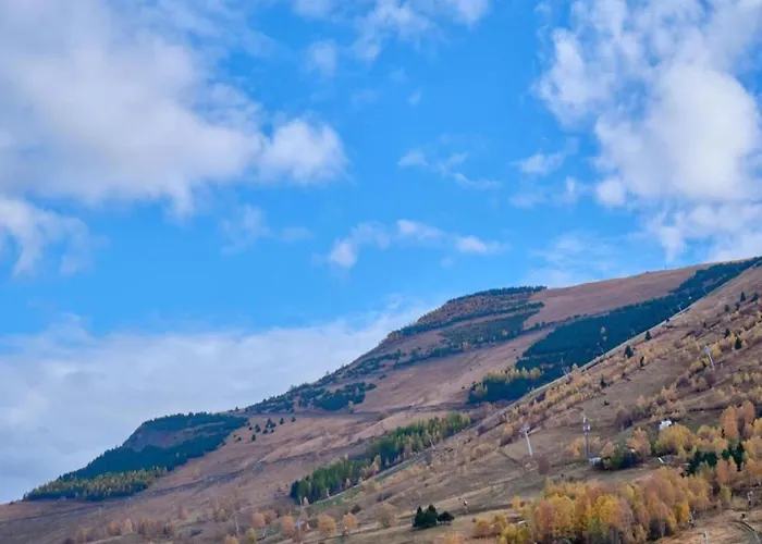 In Near Lift Alpehytte